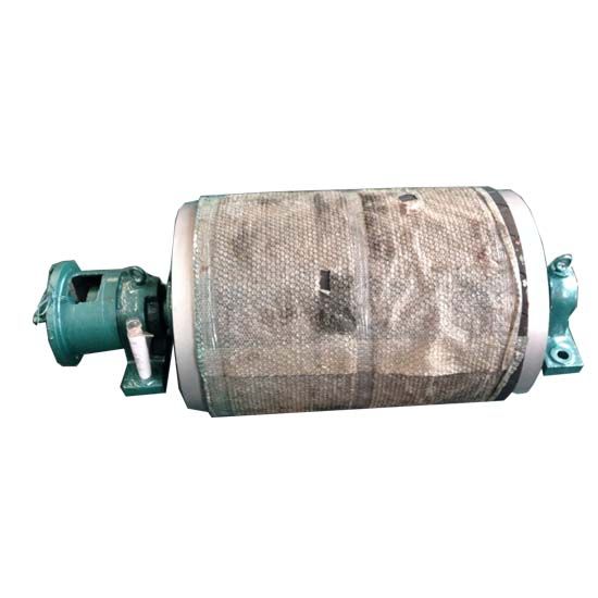 WDII.TDY系列電動滾筒